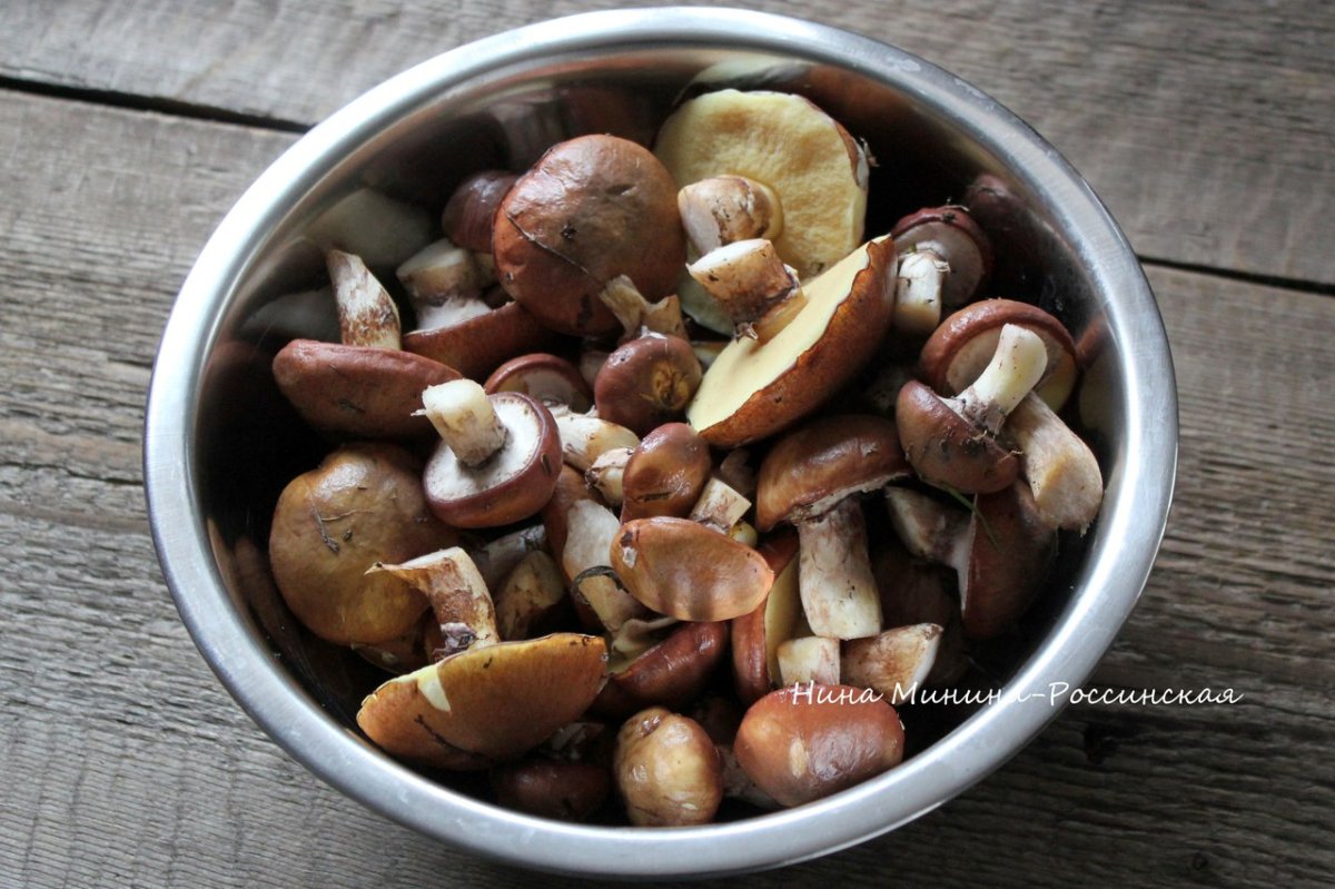 Боровой масленок