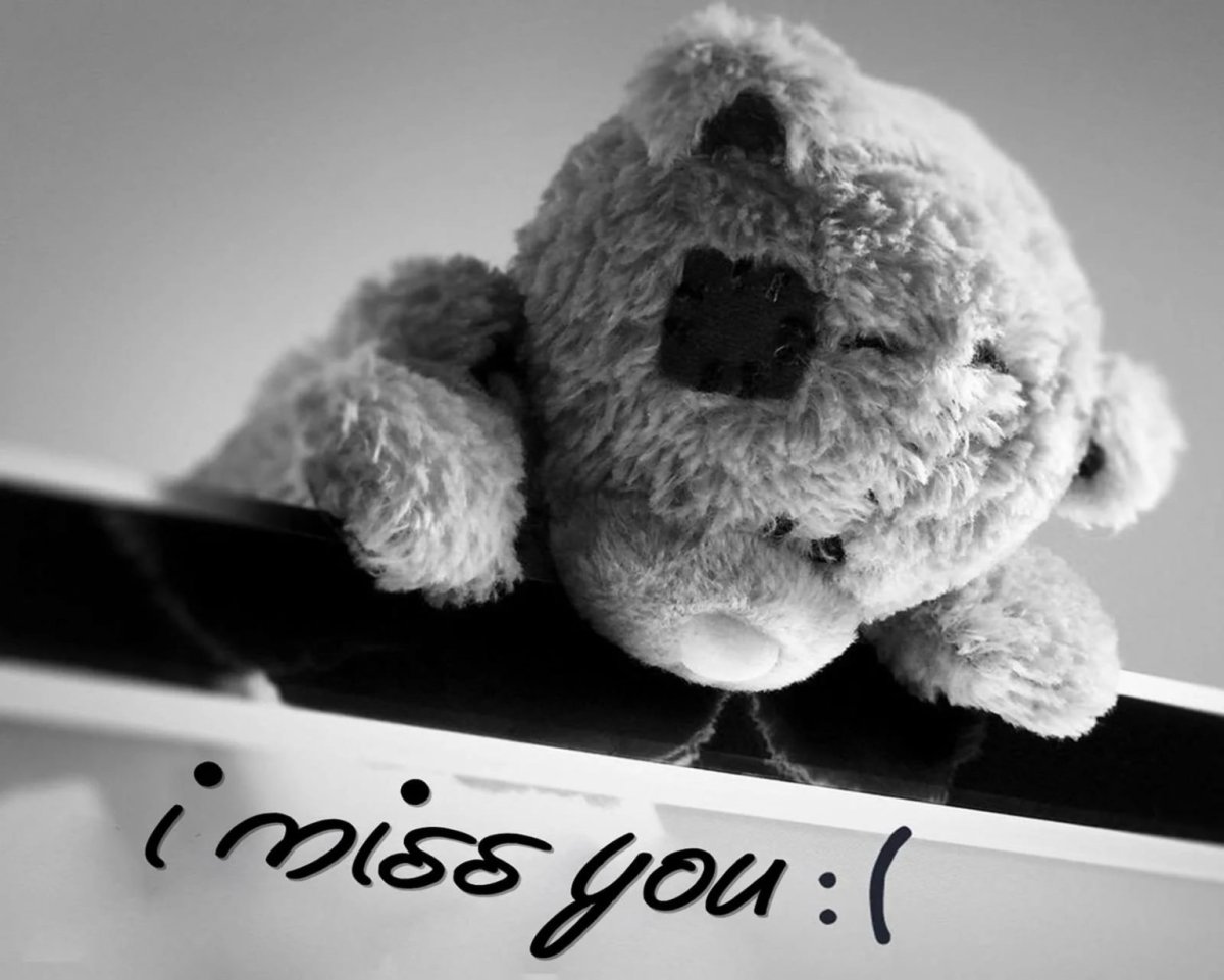 Я скучаю мишка