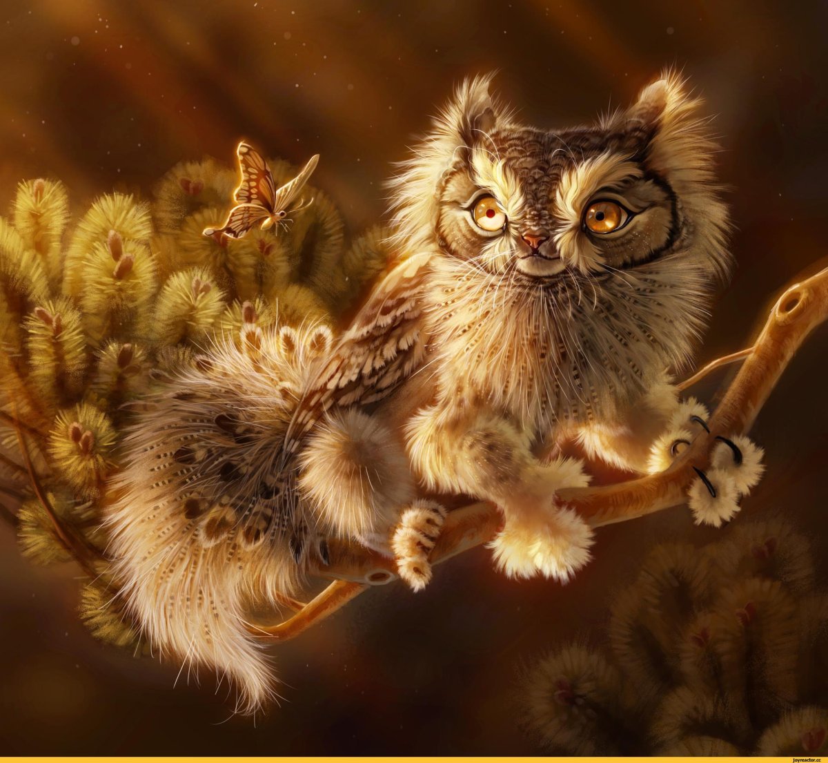 Гриффон Сова