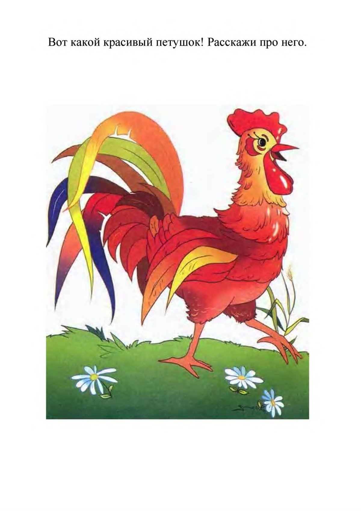 Петух для детей