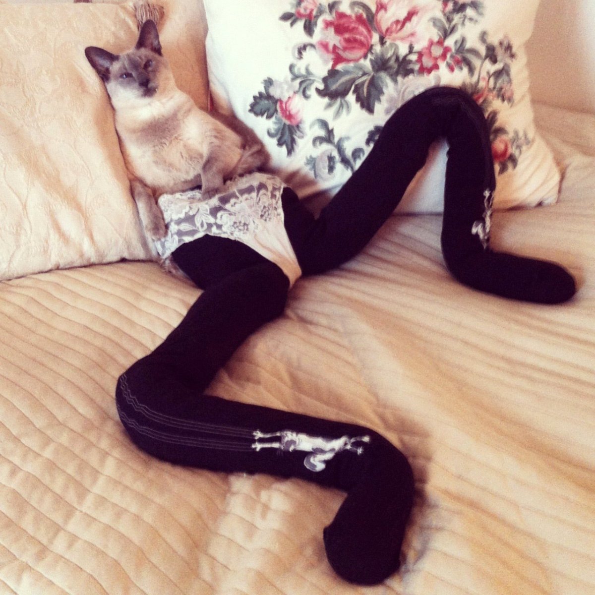 Чулки с котиками