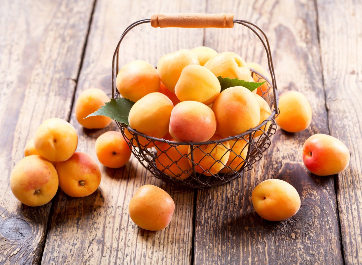 Apricots – абрикосы