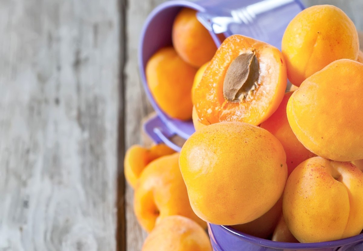 Слива персик абрикос