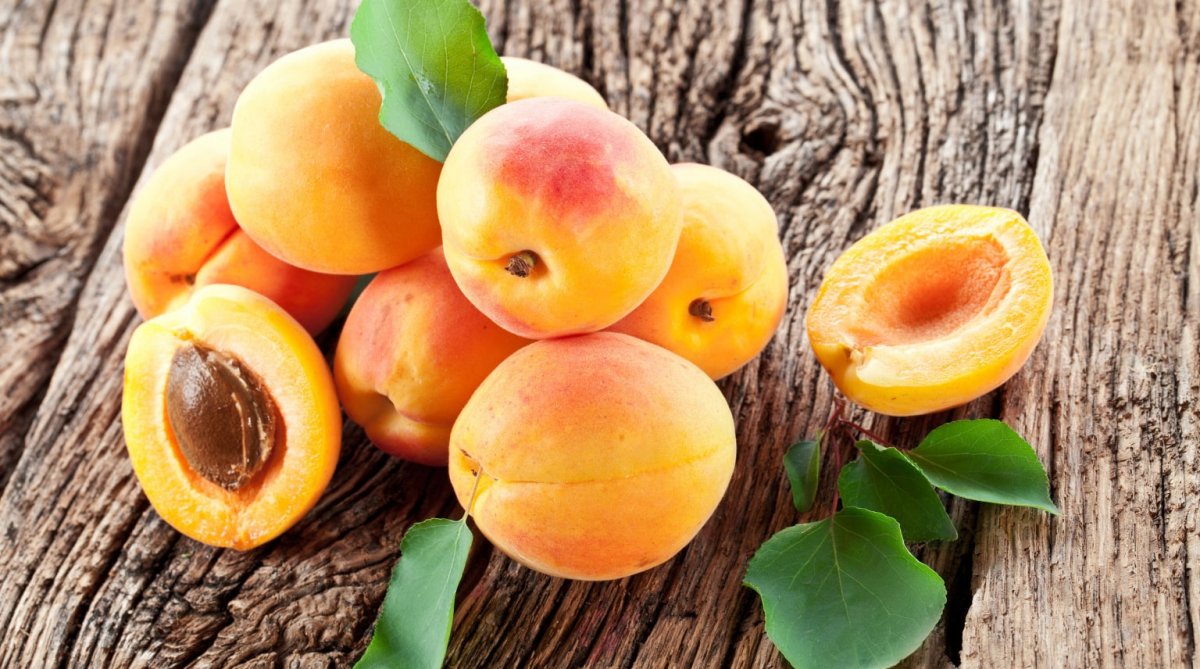 Спелый абрикос