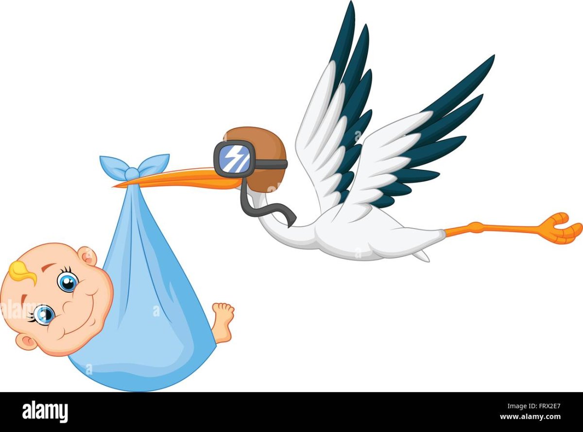 Аист с новорожденным мальчиком