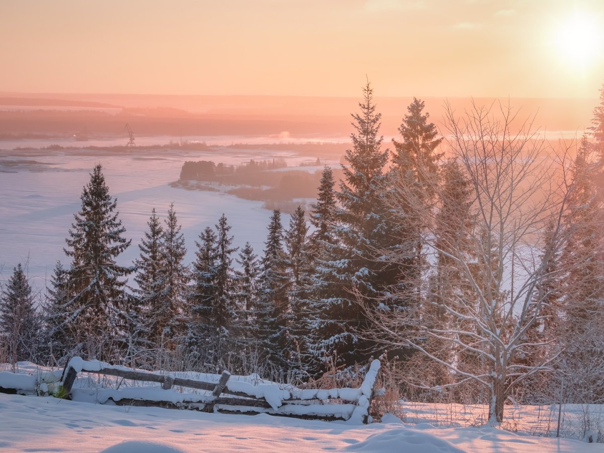 Уютная с цветами