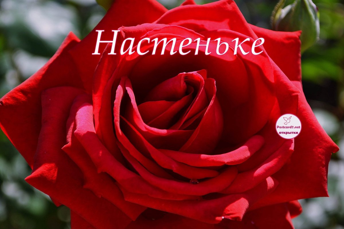 С днём рождения Настюша