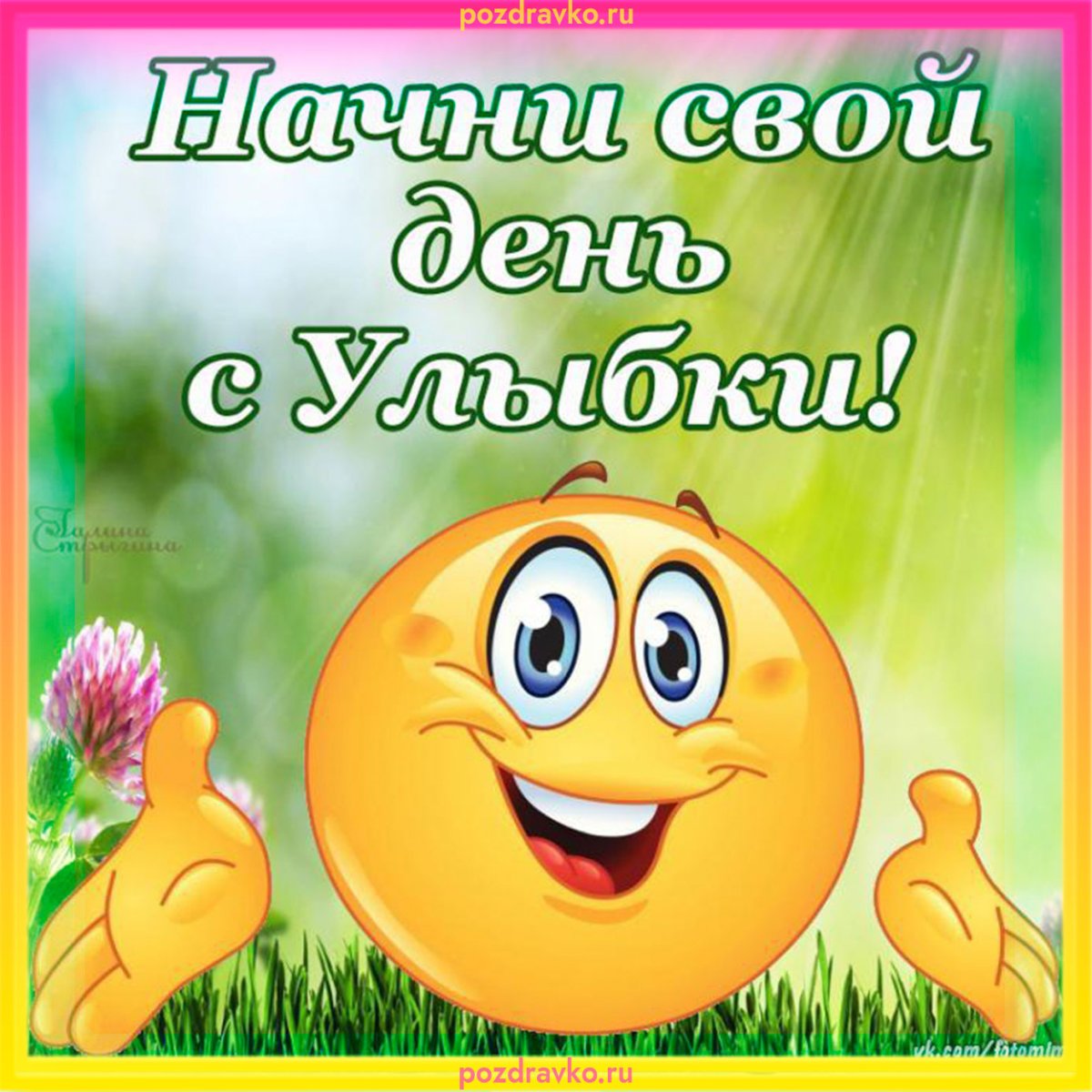 Позитивные цветочки