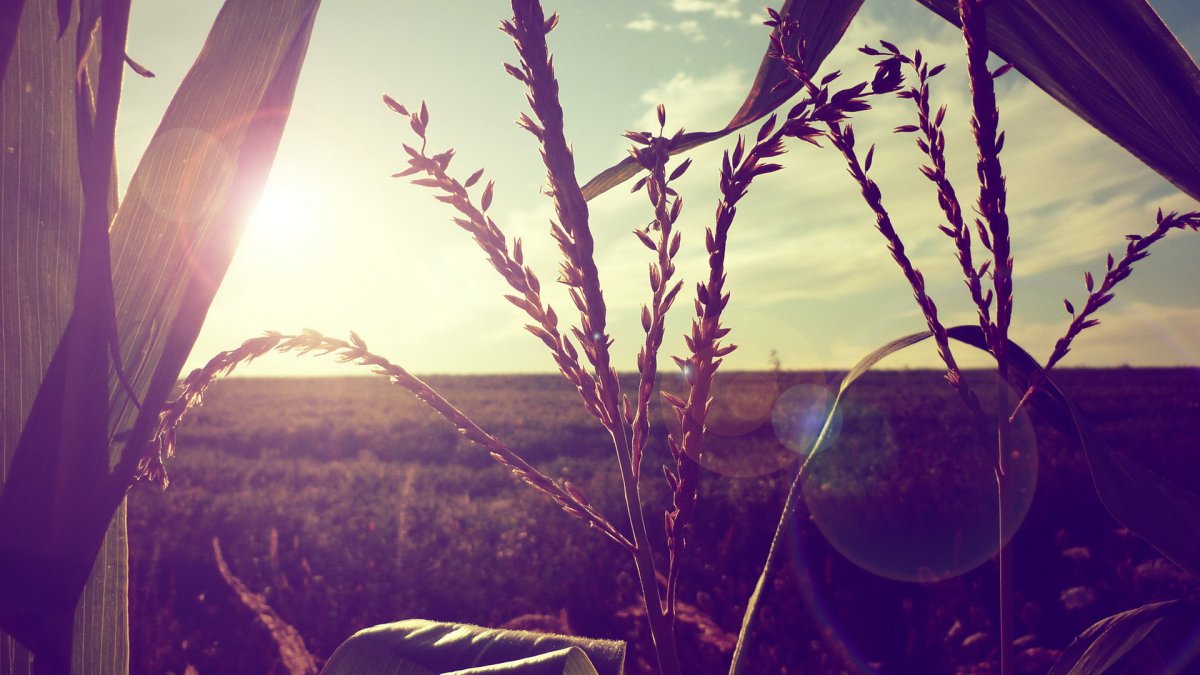 Вдохновляющие картинки