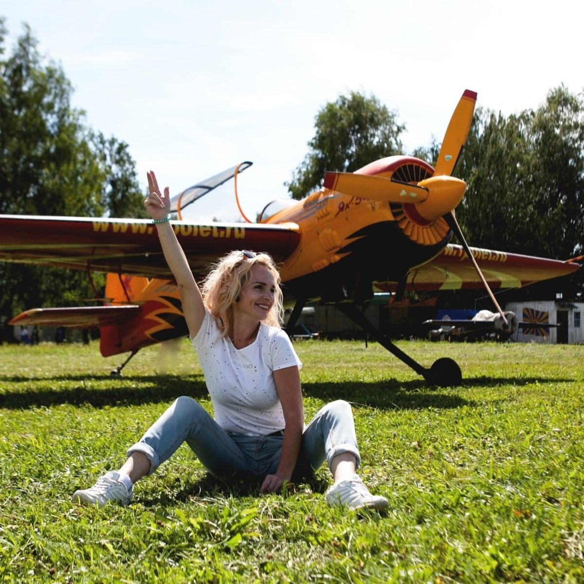 Стриж птица птенец