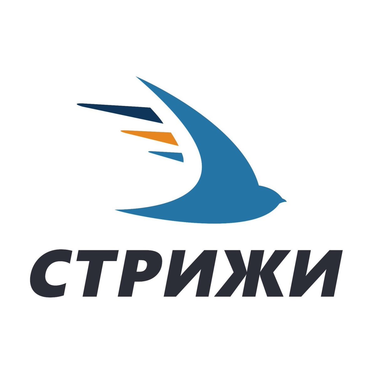 Стриж логотип