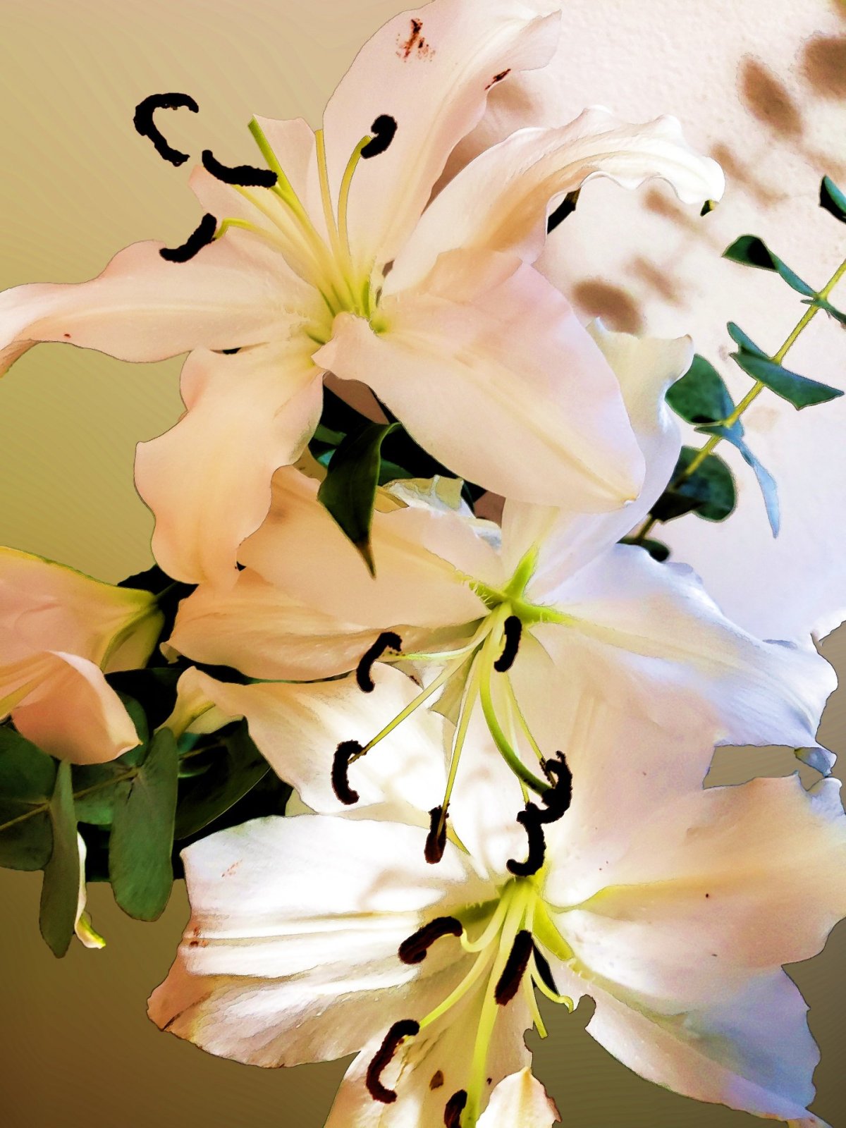 Нежные лилии