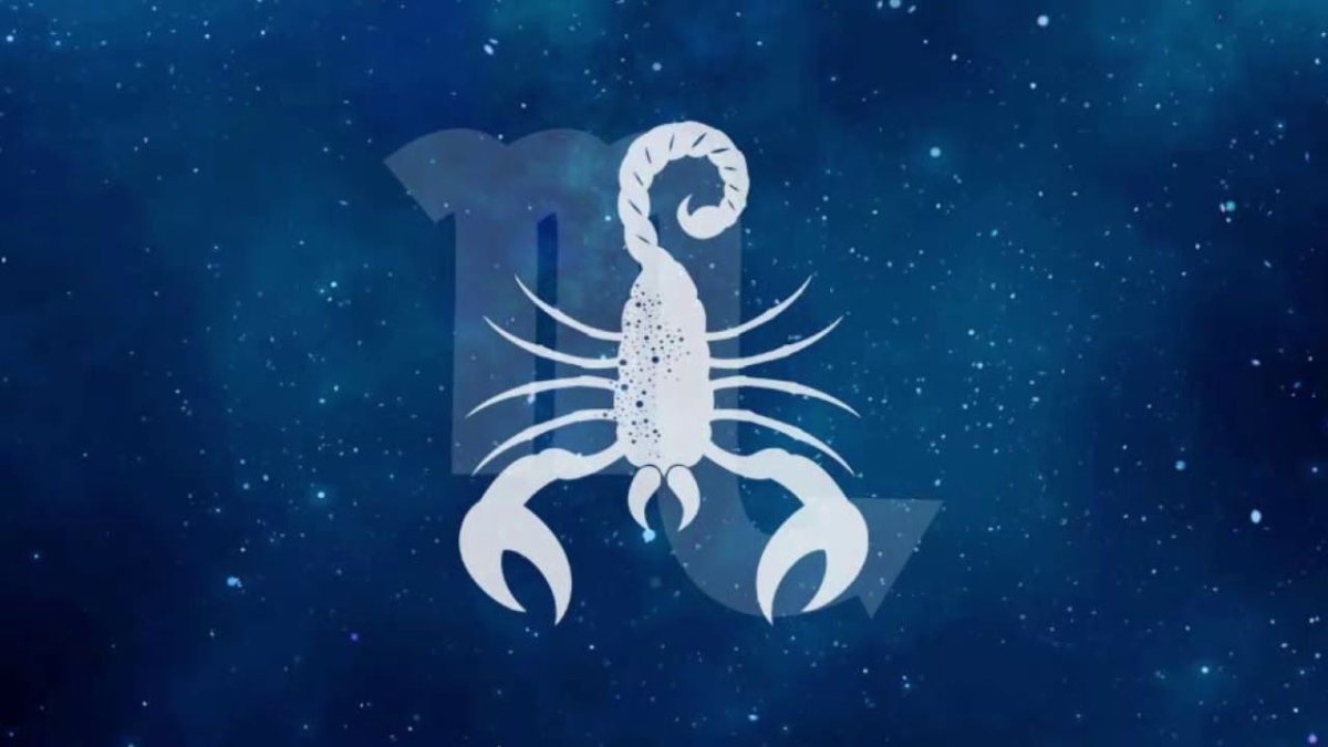 Скорпион знак зодиака знак