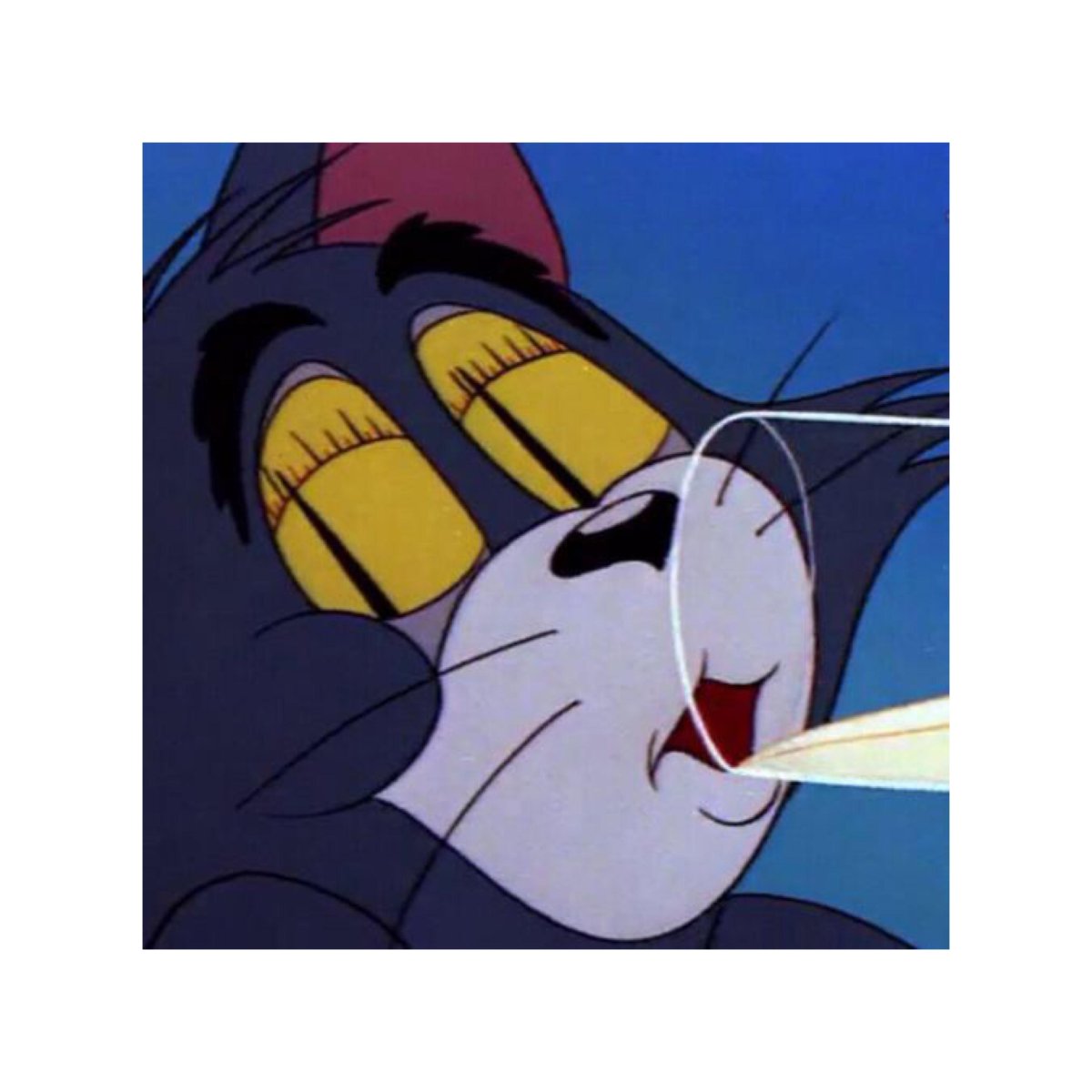 Кот том пьет