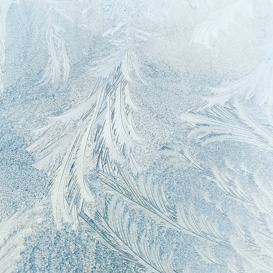 Эльза Эстетика