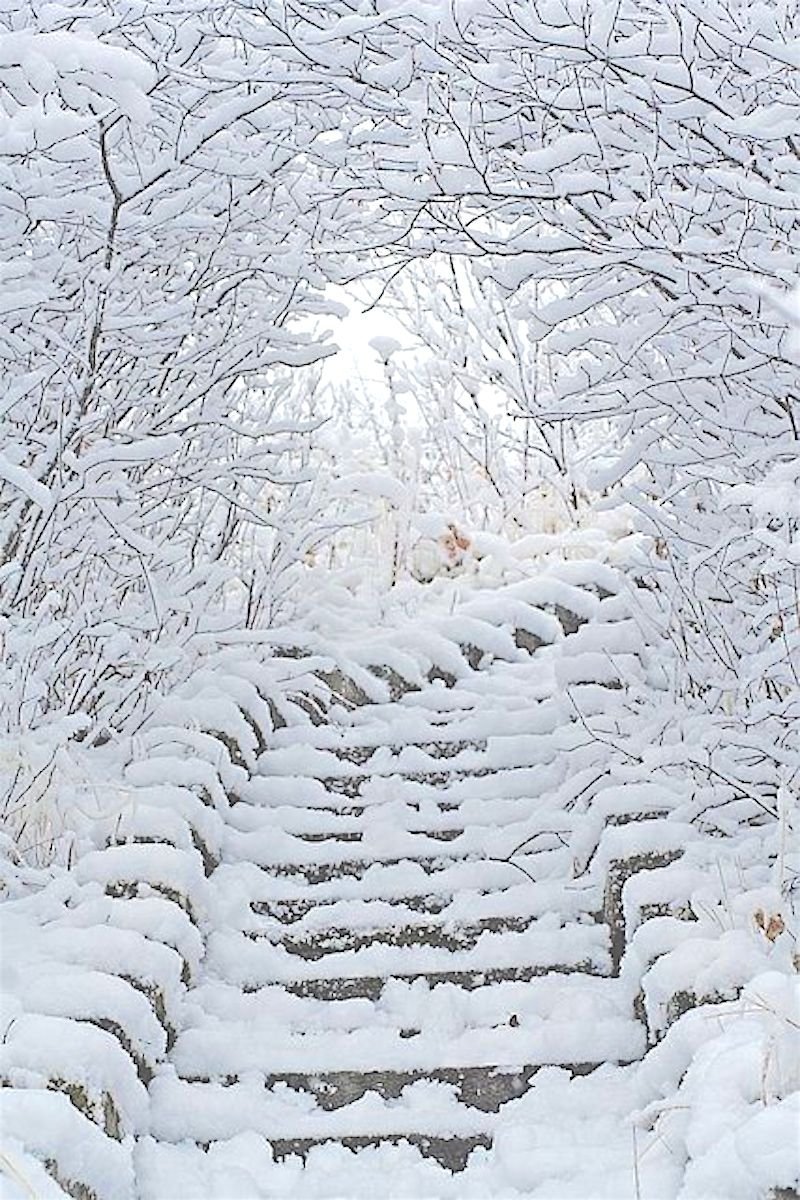 Ступени в снегу