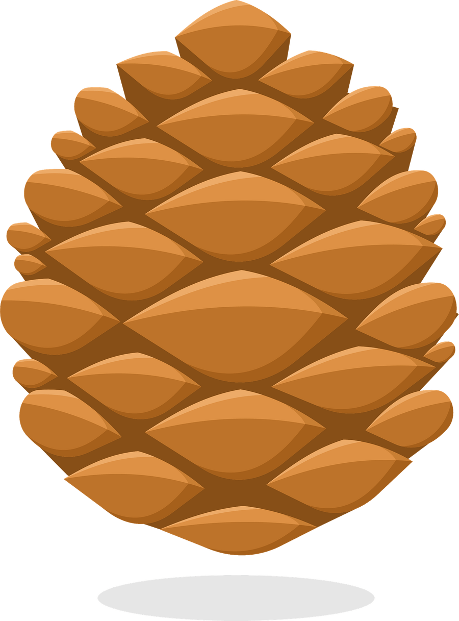 Раздаточный материал шишки