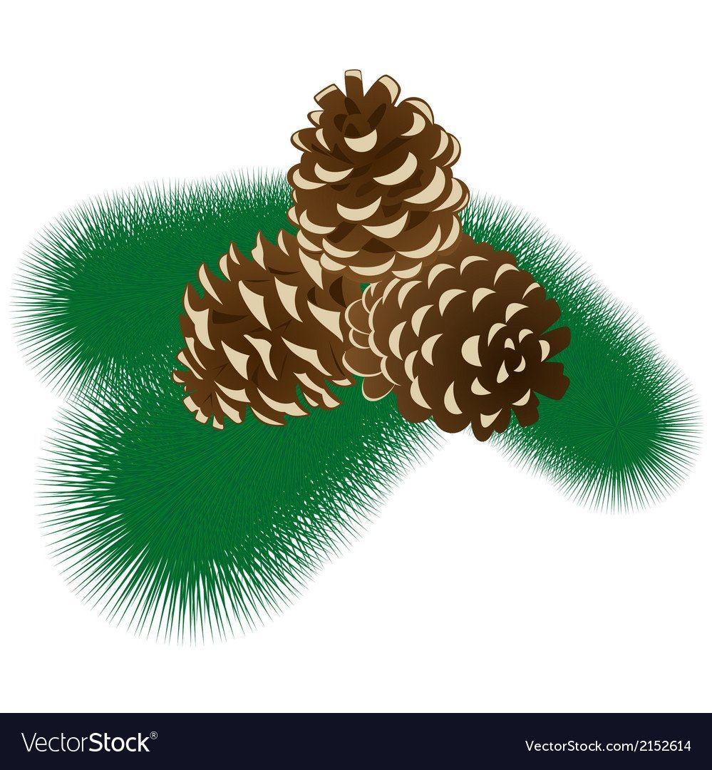 Шишки векторные