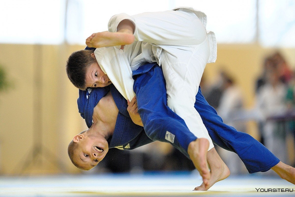 Борьба самбо и дзюдо