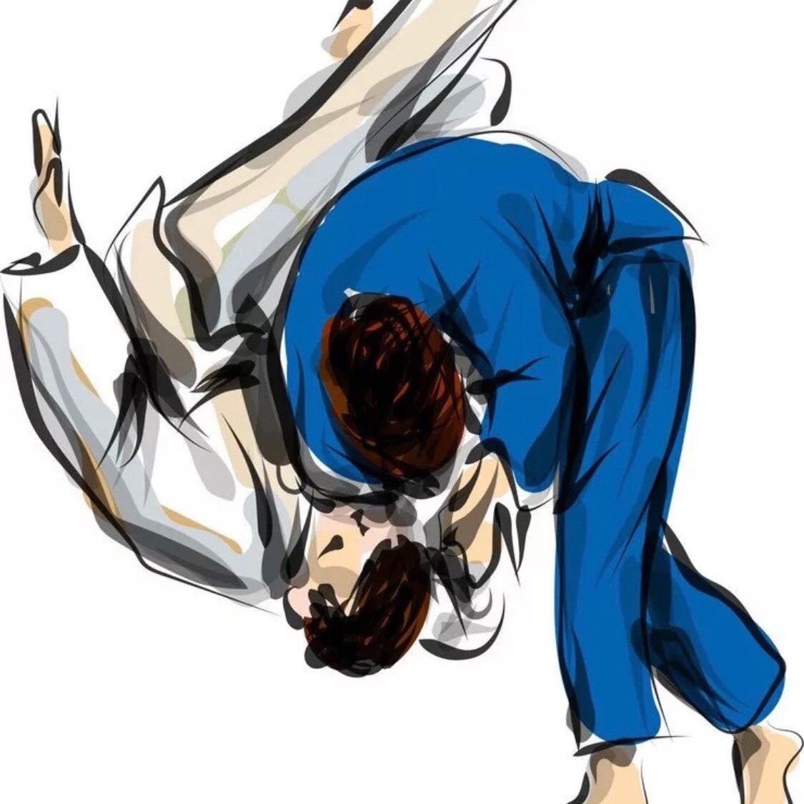 Джиу джитсу бросок