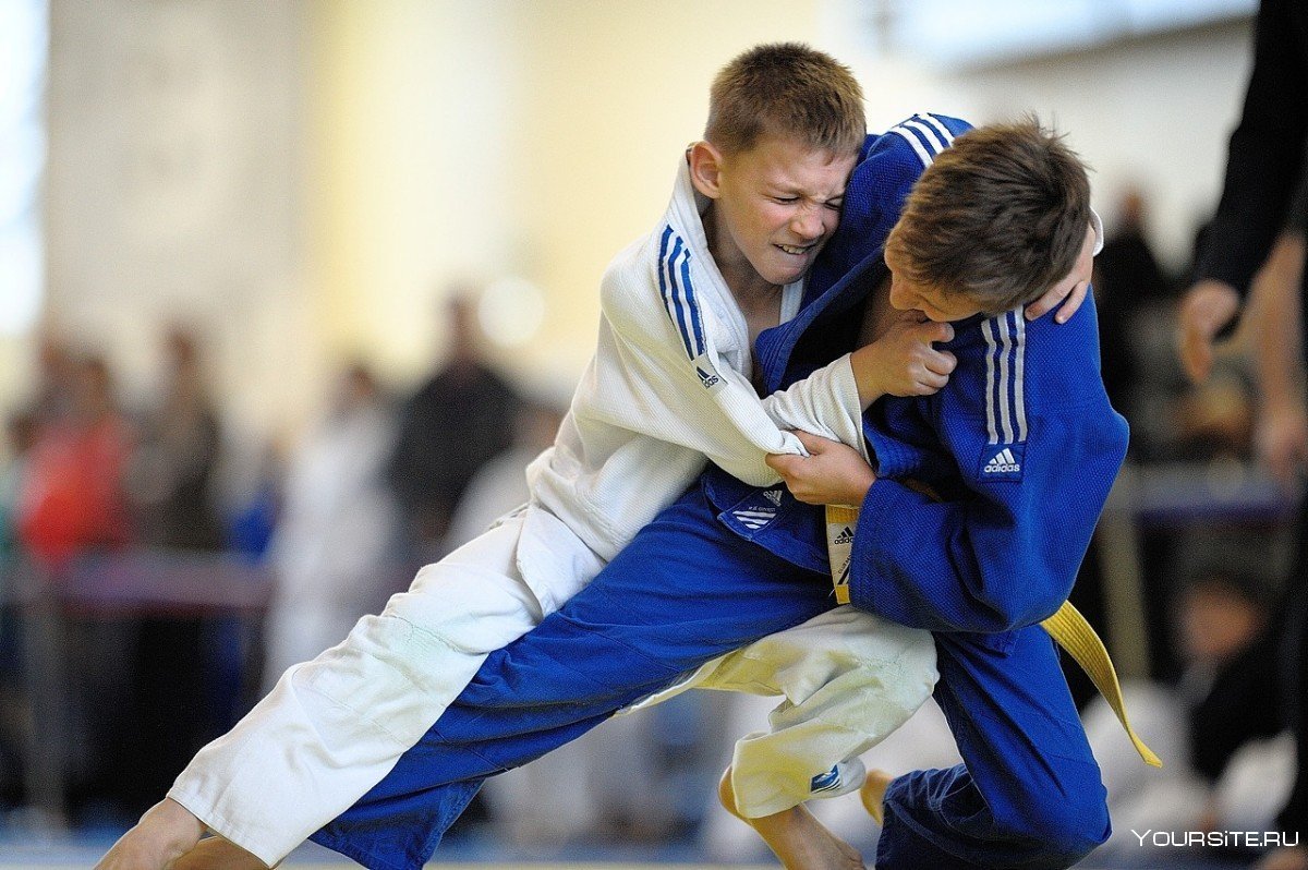 Владислав Дорофеев дзюдо