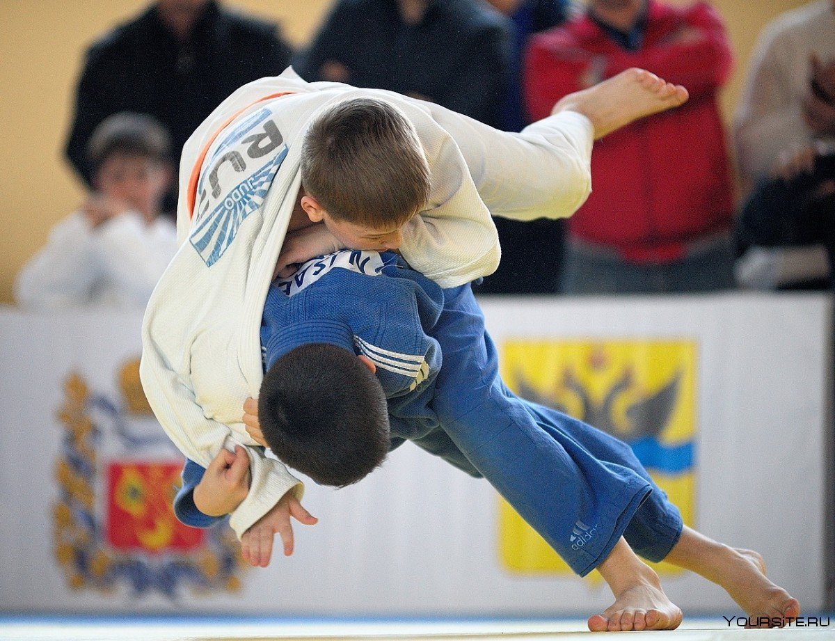 Детское дзюдо