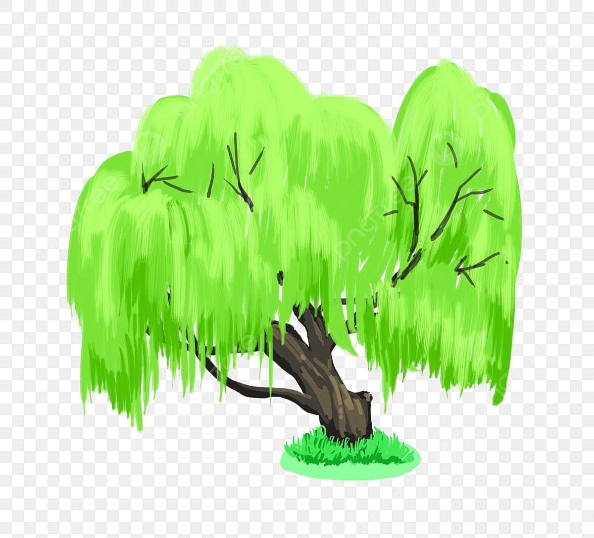 Плакучая Ива дерево