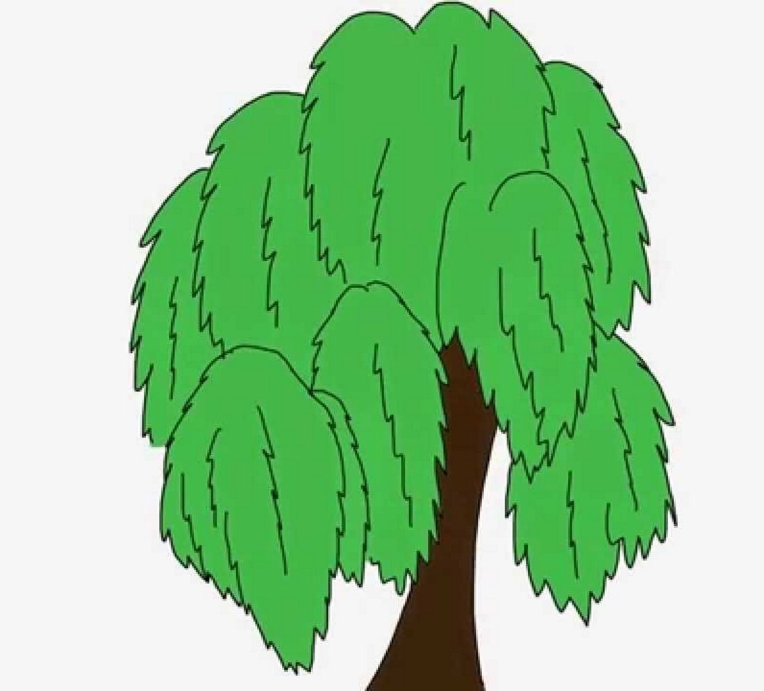 Дерево Виллоу