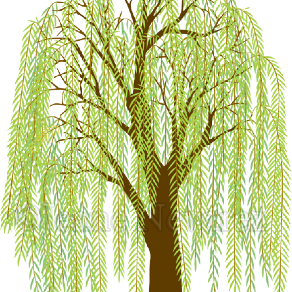 Ива мультяшный