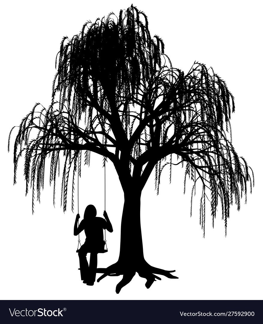 Бонсай дерево Ива