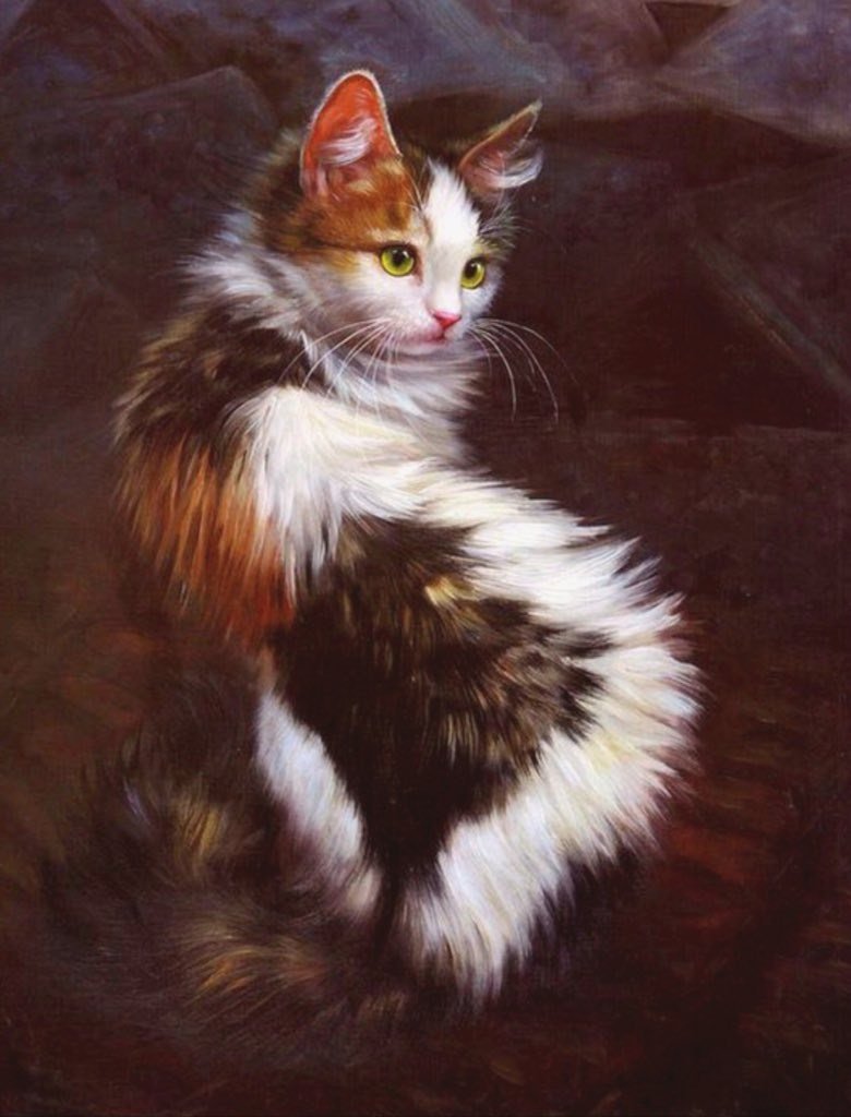 Турецкая ангора кошка трехцветная