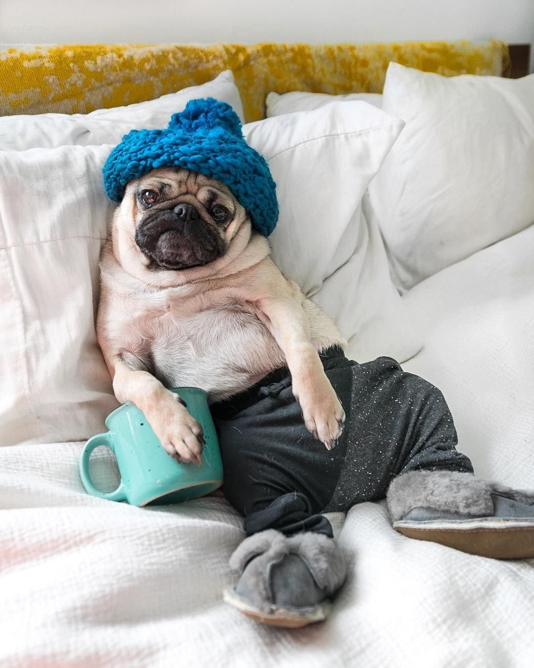 Доброе утро картинки прикольные