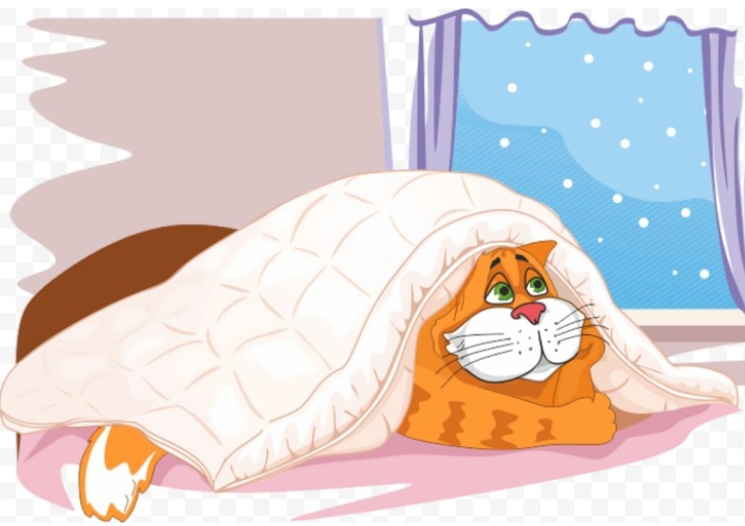 Смешно спит