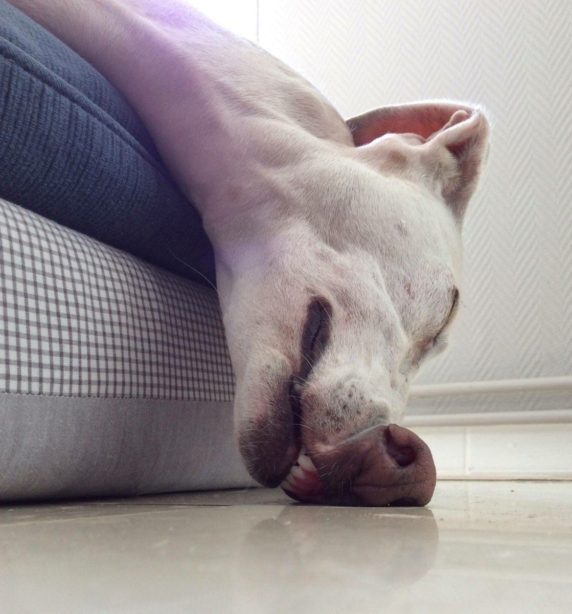 Солнышко вставай