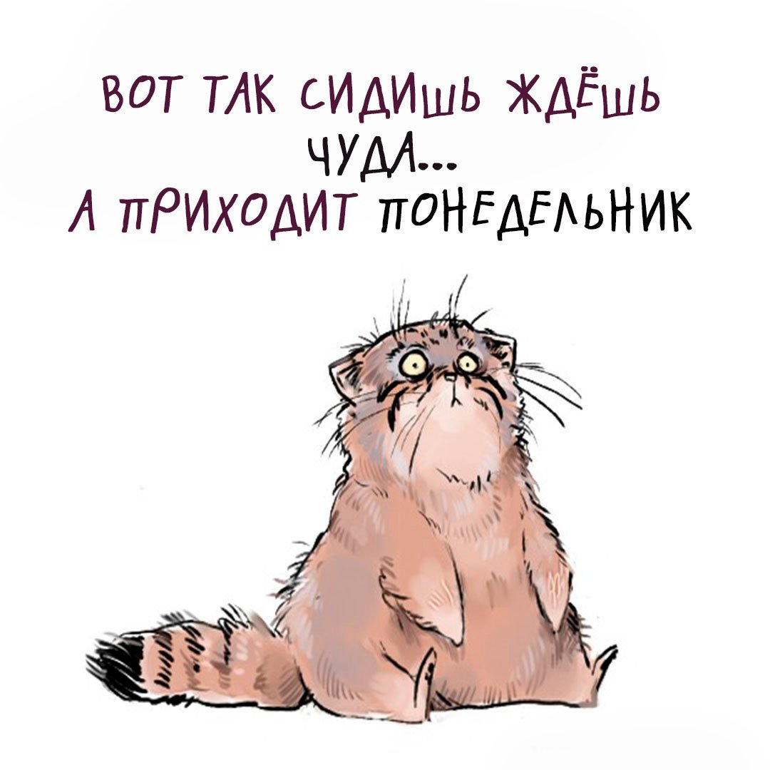 Давай до понедельника смешные картинки