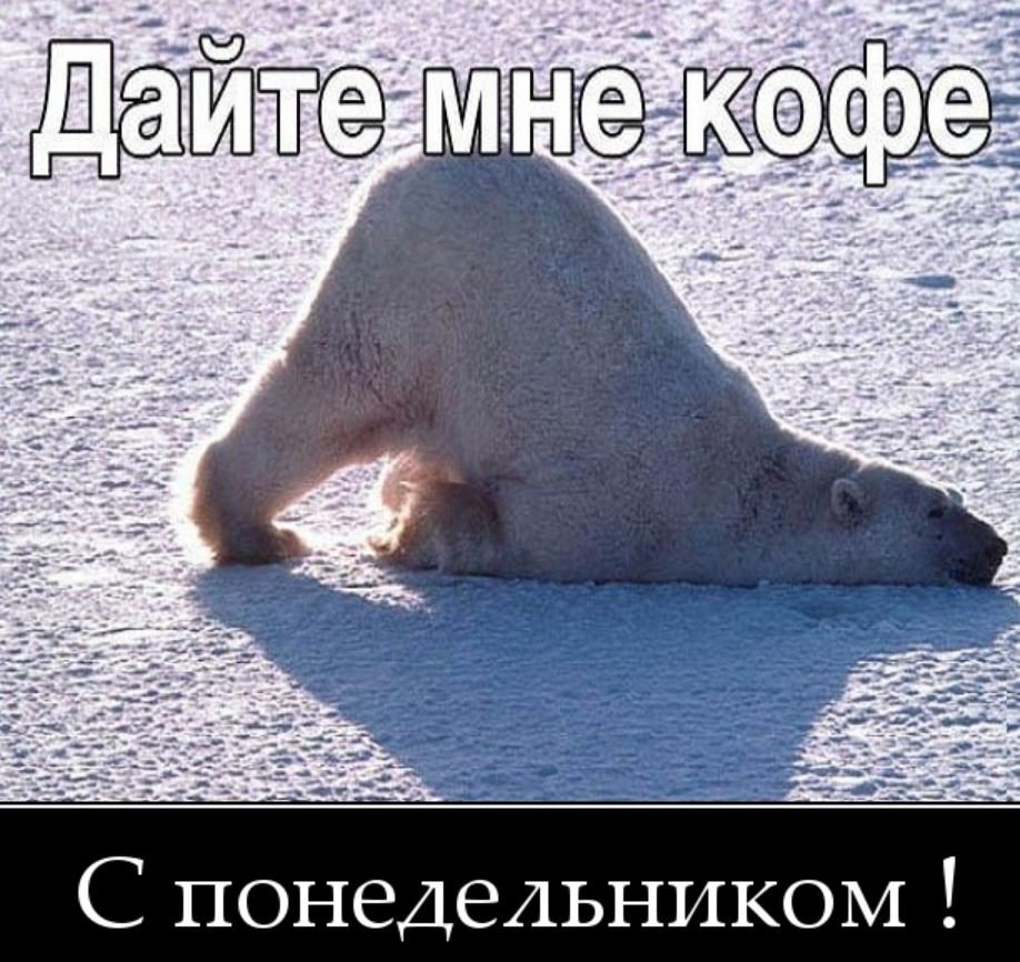 Понедельник приколы