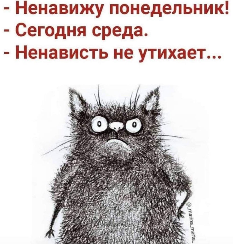 Ненавижу понедельник сегодня вторник ненависть не утихает