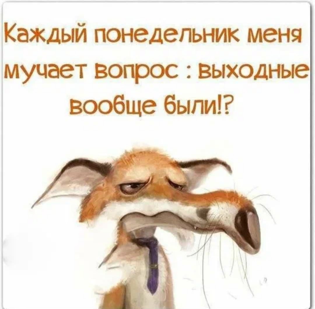 Шутки про понедельник