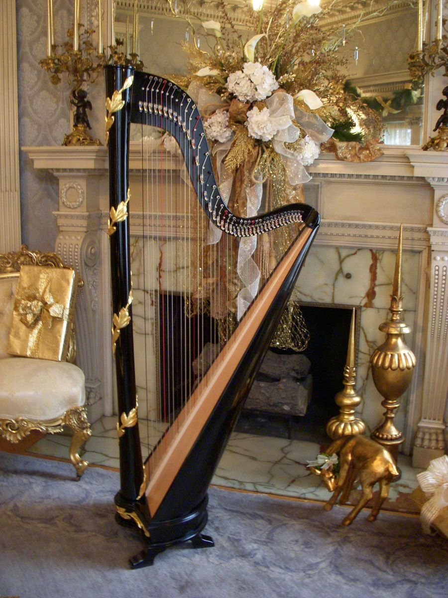 Андская арфа