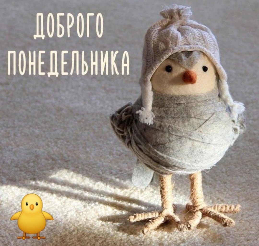 Доброго понедельника