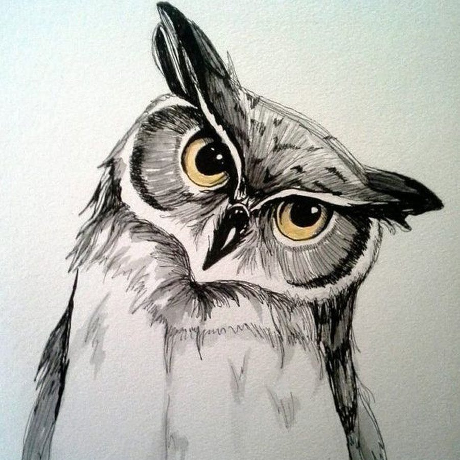 Сава картинка