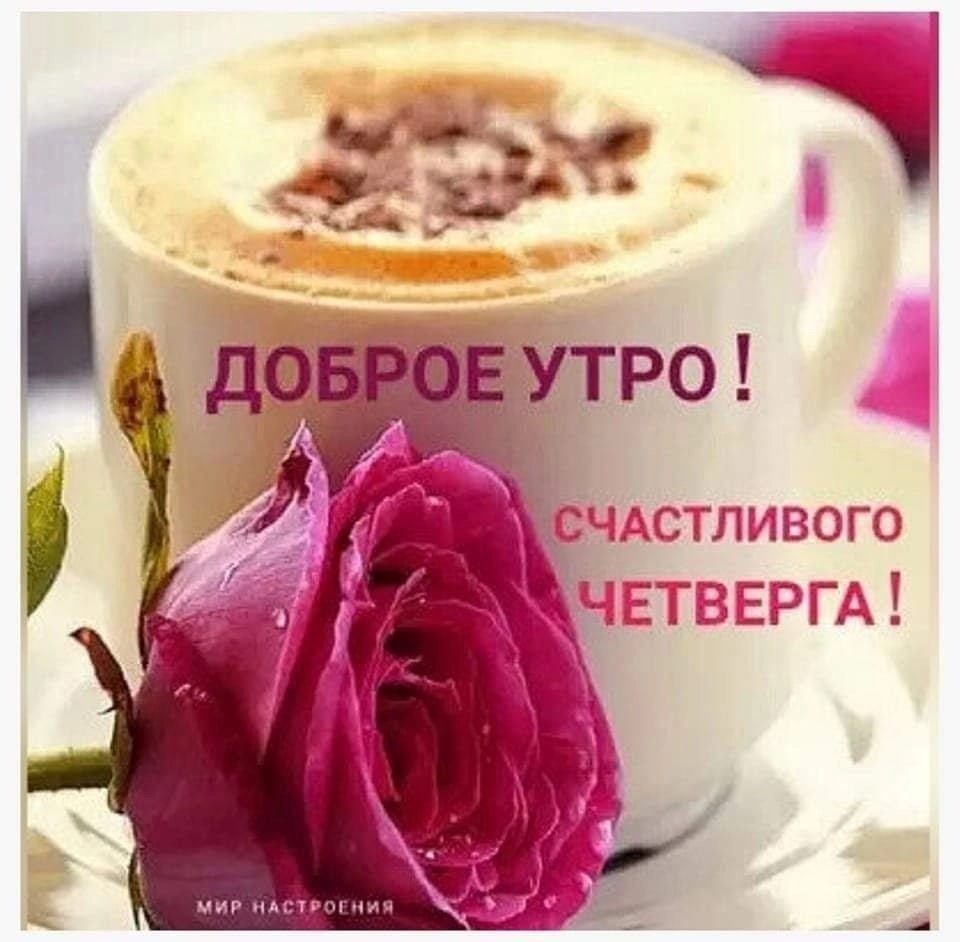 Доброе утро вторника