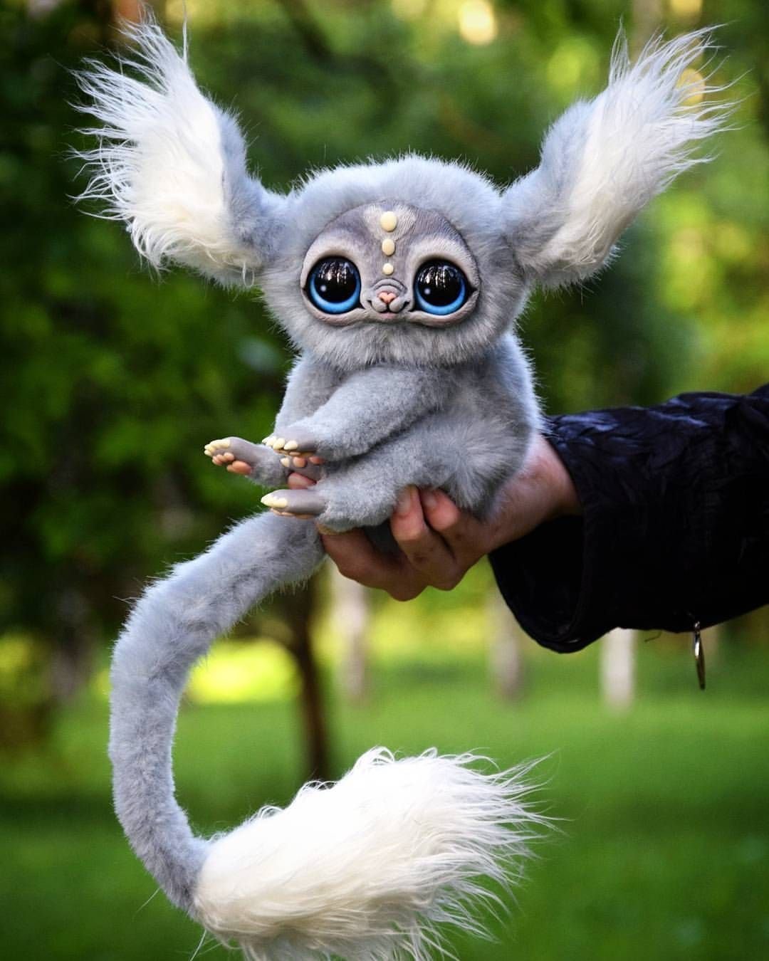 Мексиканский глазоухх