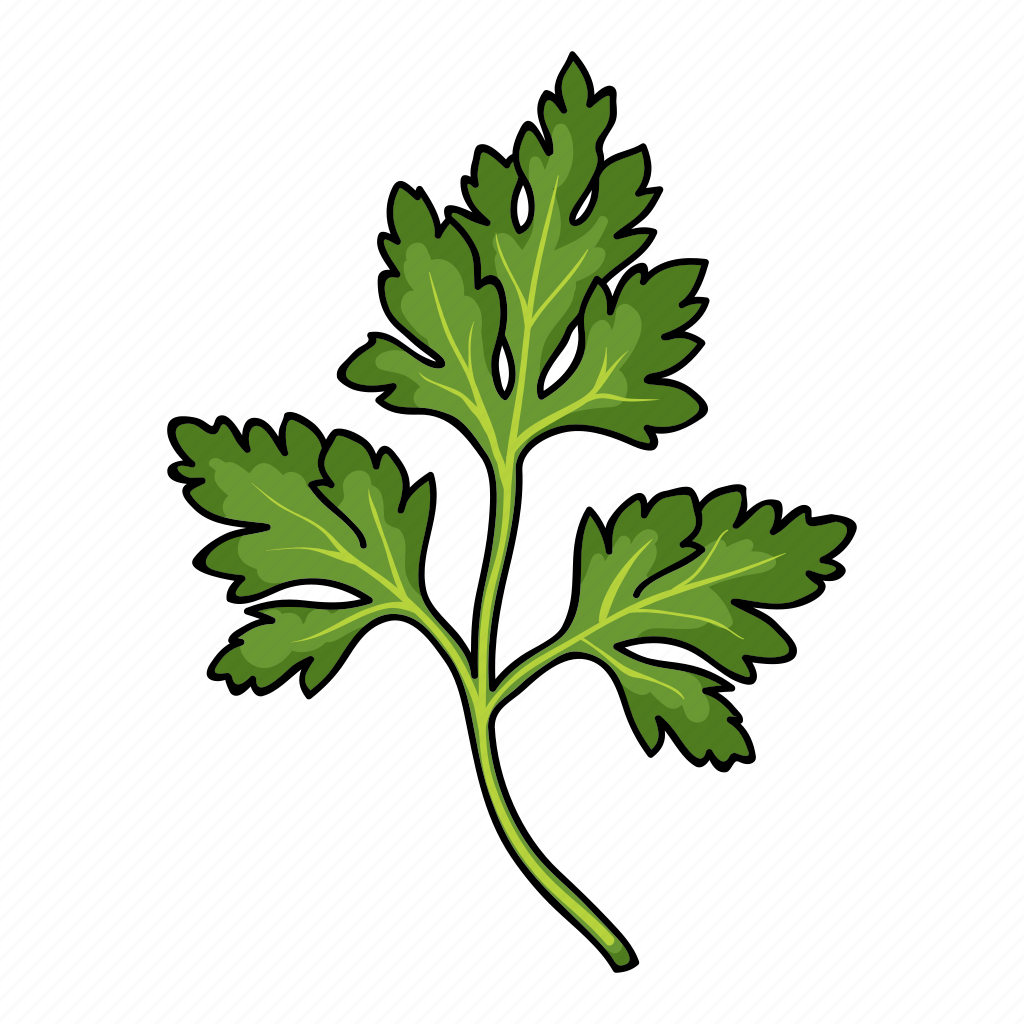 Петрушка схематично