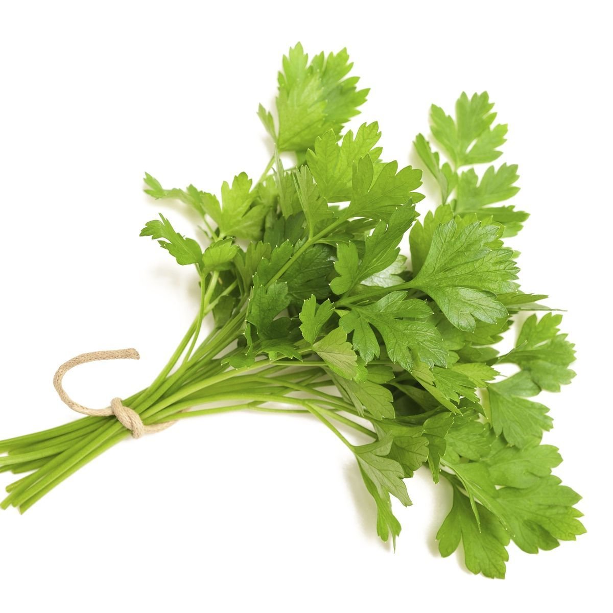 Петрушка зел. 1кг