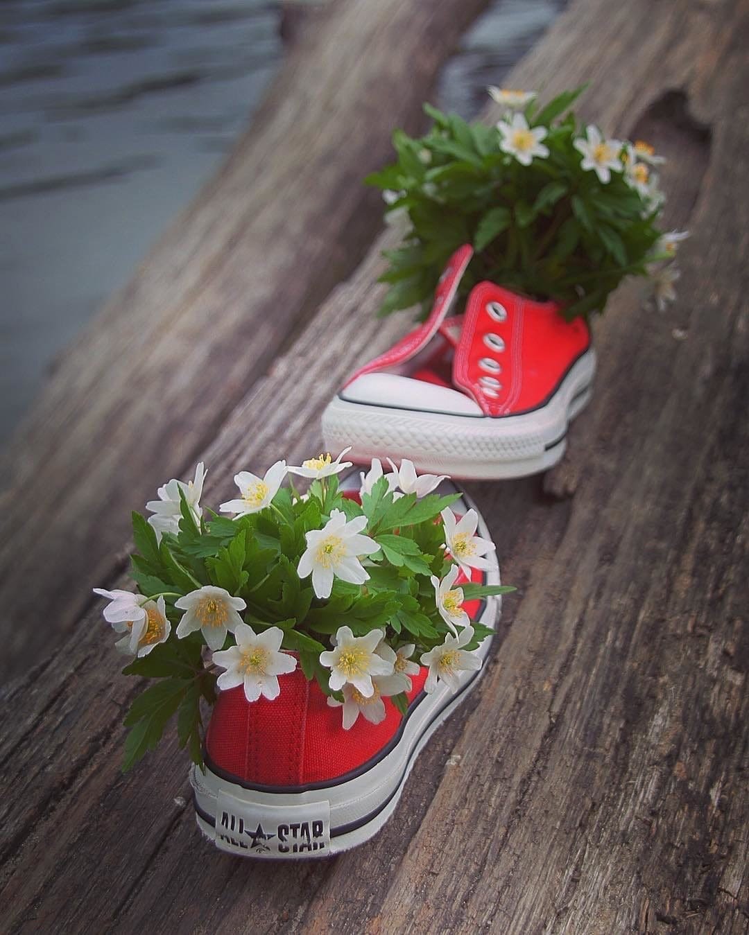 Доброе утро берегите СН бя