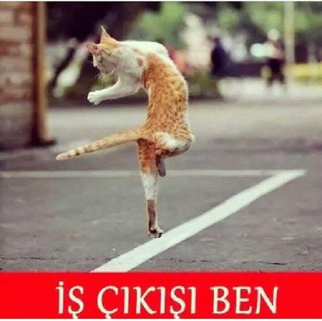 С работы домой