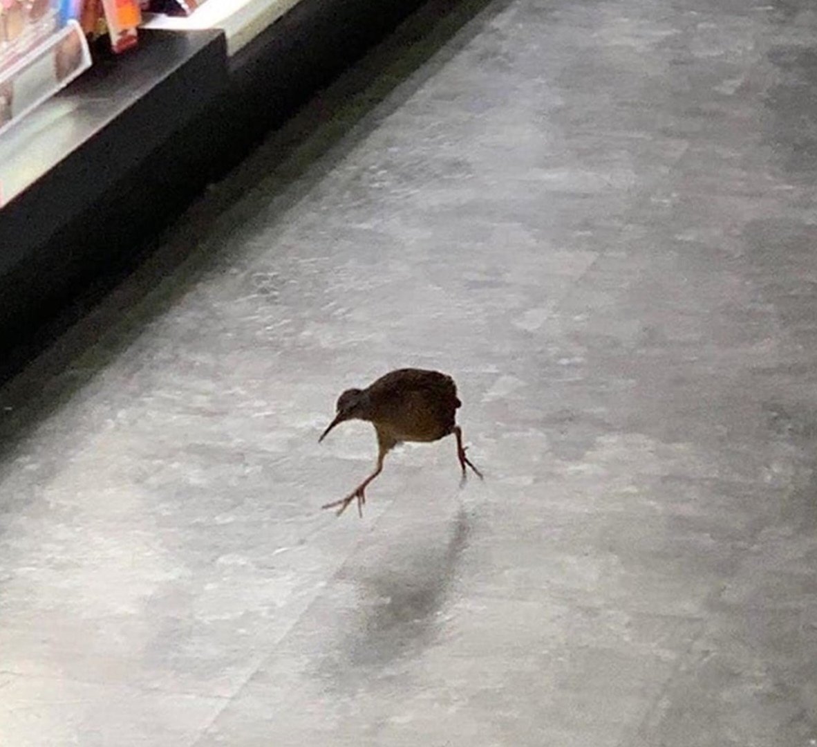 Домой после работы