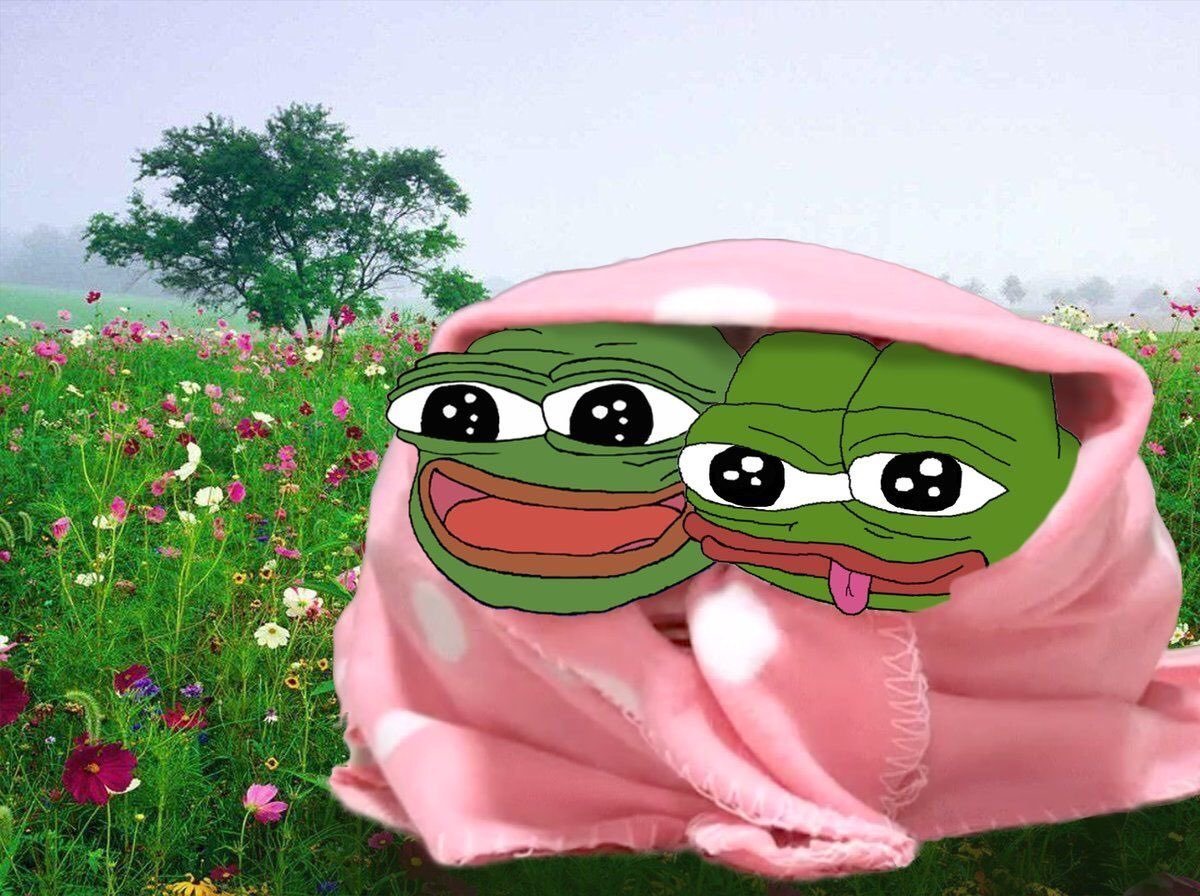 Пепе лягушка мексиканец