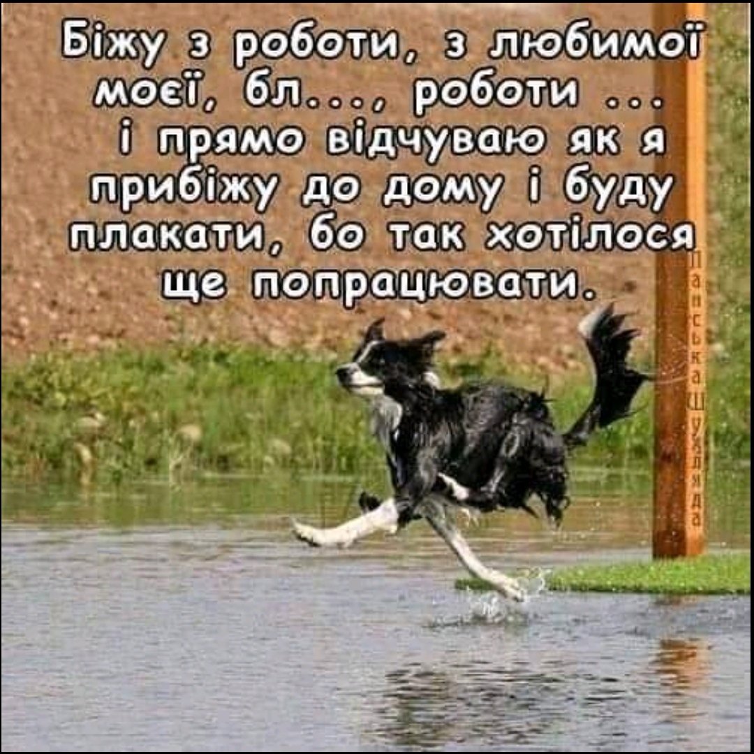 Я В пятницу после работы домой